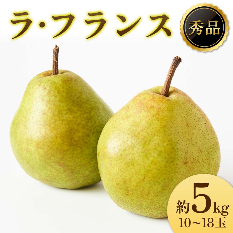 【ふるさと納税】《2025年先行受付》ラ・フランス 秀品 10～18玉 約5kg なし ナシ 梨 デザート フルーツ 果物 くだもの 果実 食品 山形県 FSY-1918