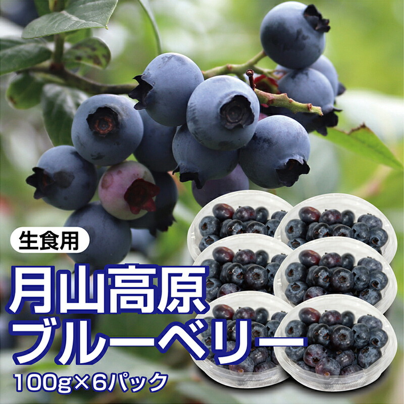 【ふるさと納税】【先行予約 2025年度発送】山形県月山高原産 大澤農園のブルーベリー 100g×6パック 計600g 生食用 爽やかな甘酸っぱさが魅力です フルーツ 果物 くだもの 果実 食品 山形県 FSY-1224