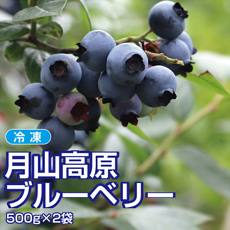 【ふるさと納税】 山形県月山高原産 大澤農園のブルーベリー 冷凍 500g×2パック 計1kg 冷凍だから使い勝手抜群 FSY-1225