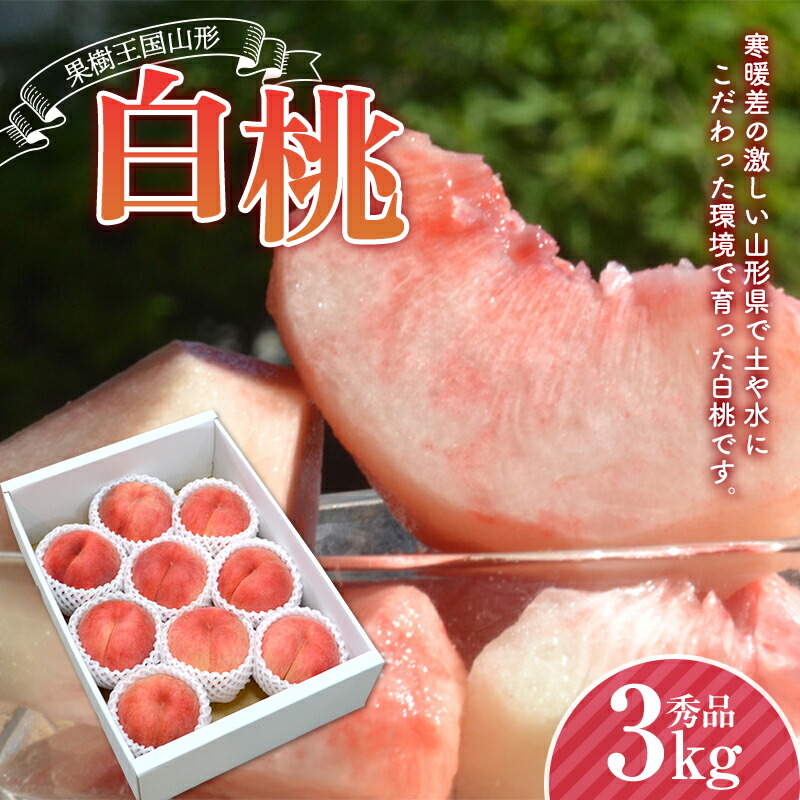 【ふるさと納税】《先行予約 2025年度発送》山形県産 白桃 秀品 3kg もも モモ 桃 デザート フルーツ 果物 くだもの 果実 食品 山形県 FSY-2202