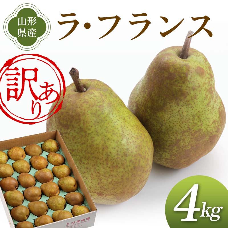 【ふるさと納税】《先行予約 2025年度発送》訳あり ラ・フランス 4kg ご家庭用 なし ナシ 梨 デザート フルーツ 果物 くだもの 果実 食品 山形県 FSY-1909