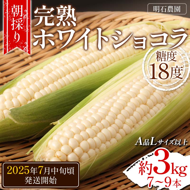 【ふるさと納税】＜朝採り＞ 完熟ホワイトショコラ 明石農園 糖度18度 約3kg とうもろこし 山形県産 A品 Lサイズ以上 《先行予約2025年度7月中旬頃発送開始》 とうきび トウキビ トウモロコシ コーン 野菜 食品 山形県 FSY-1292