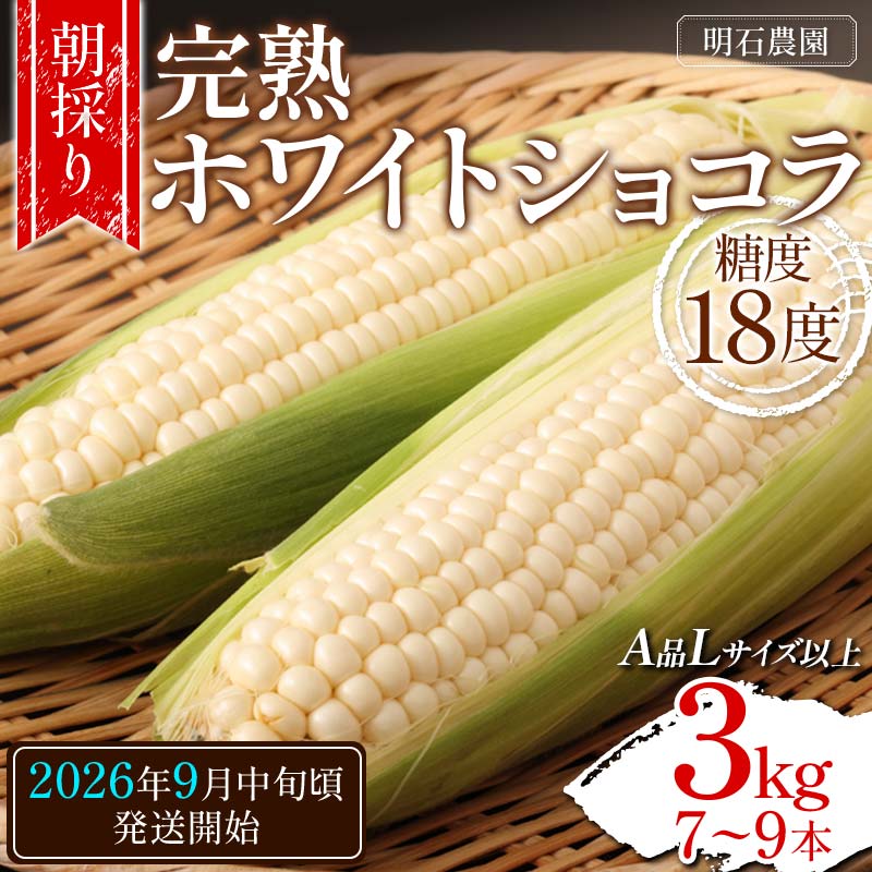 【ふるさと納税】＜朝採り＞ 完熟ホワイトショコラ 明石農園 糖度18度 3kg とうもろこし 山形県産 A品 Lサイズ以上 《先行予約2026年度9月中旬頃発送開始》 とうきび トウキビ トウモロコシ コーン 野菜 食品 山形県 FSY-1293