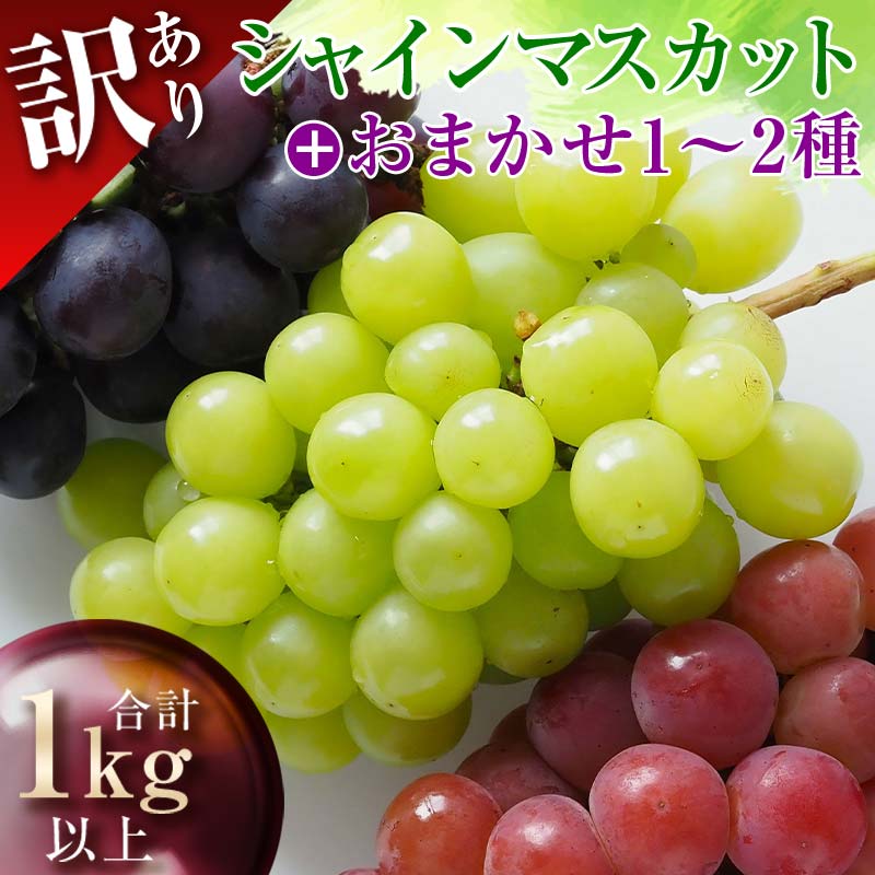 【ふるさと納税】 【先行予約2026年度発送】山形県産 訳あり ぶどう（品種おまかせ）計1kg マスカット ぶどう ブドウ 葡萄 デザート フルーツ 果物 くだもの 果実 食品 山形県 FSY-1327