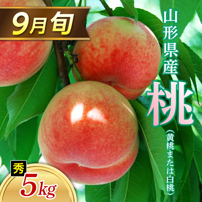 【ふるさと納税】 ≪2026年 先行予約≫ 9月旬の桃（白桃または黄桃）5kg 秀（小玉 20～22玉） もも モモ 桃 デザート フルーツ 果物 くだもの 果実 食品 山形県 FSY-1329｜山形県