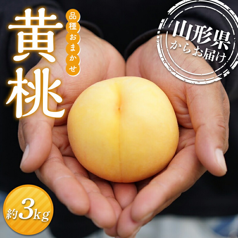 【ふるさと納税】≪先行予約≫2025年度発送 山形県産 黄桃（品種おまかせ） 3kg（8個～14個入り） もも モモ 桃 デザート フルーツ 果物 くだもの 果実 食品 山形県 FSY-1331