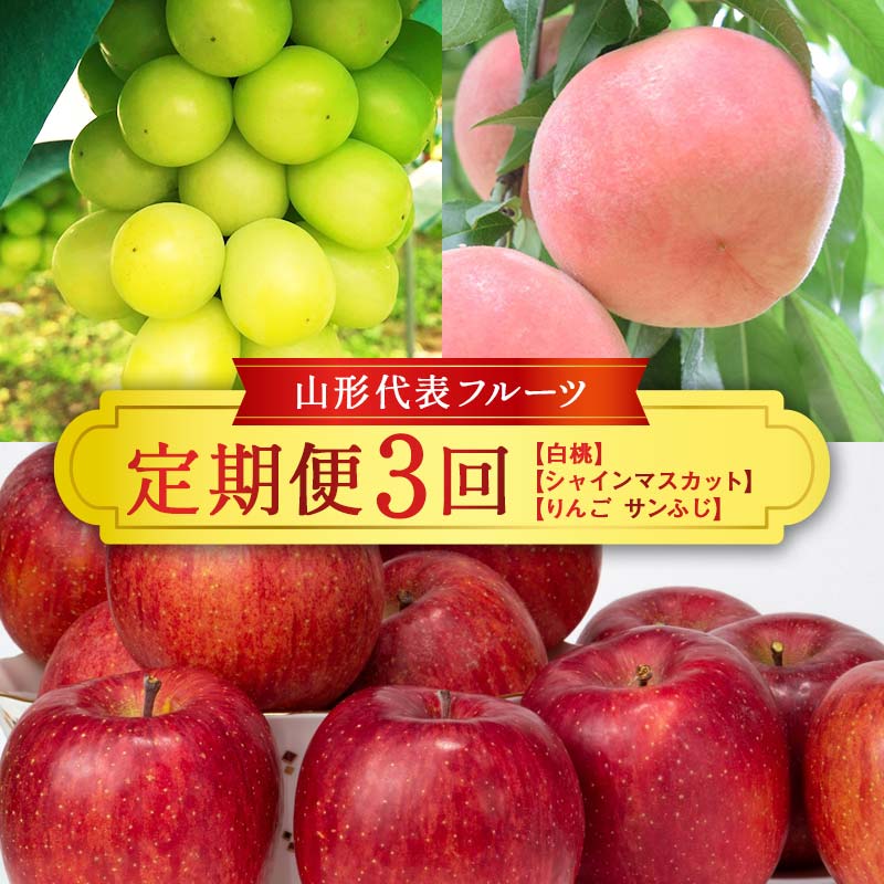 【ふるさと納税】≪数量限定 期間限定≫2025年先行予約 【山形代表フルーツ定期便】 3回定期便 FSY-1873