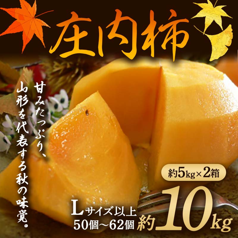 【ふるさと納税】《先行予約 令和7年度産》庄内柿 約10kg Lサイズ以上 柿 かき デザート フルーツ 果物 くだもの 果実 食品 山形県 FSY-1886
