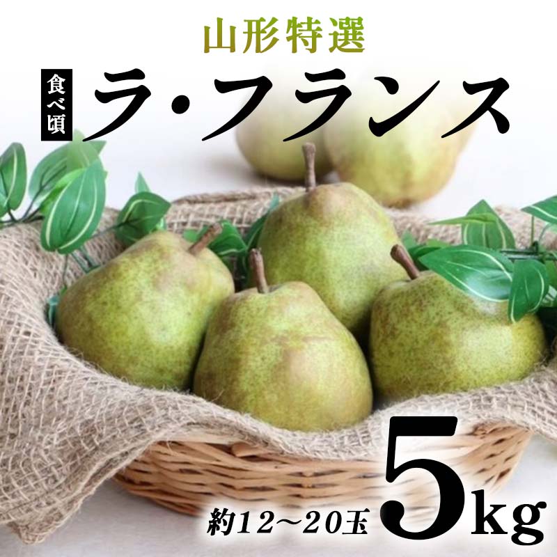 【ふるさと納税】【先行受付（令和7年度発送）】食べ頃 山形特選ラ・フランス5kg FSY-2032
