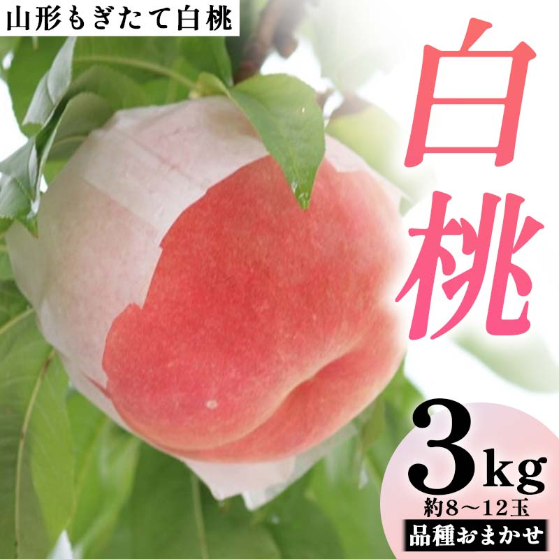 【ふるさと納税】 【先行受付 令和8年度発送】山形もぎたて白桃 品種おまかせ3kg FSY-2036|山形県