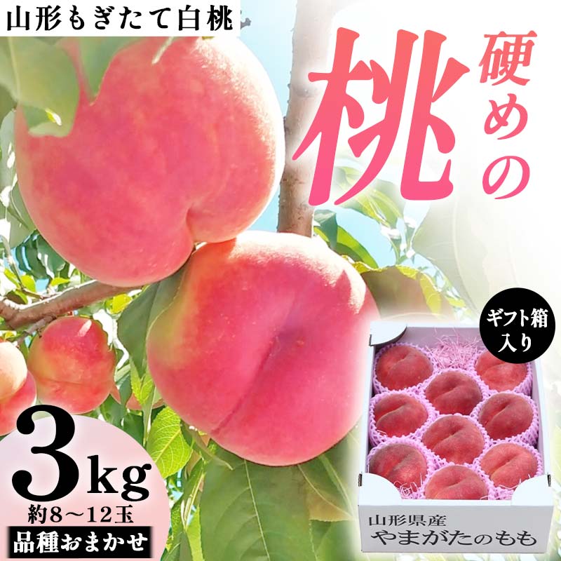 【ふるさと納税】【先行受付 令和8年度発送】山形もぎたて白桃『硬めの桃』品種おまかせ3kg ギフト箱入り FSY-2038|山形県