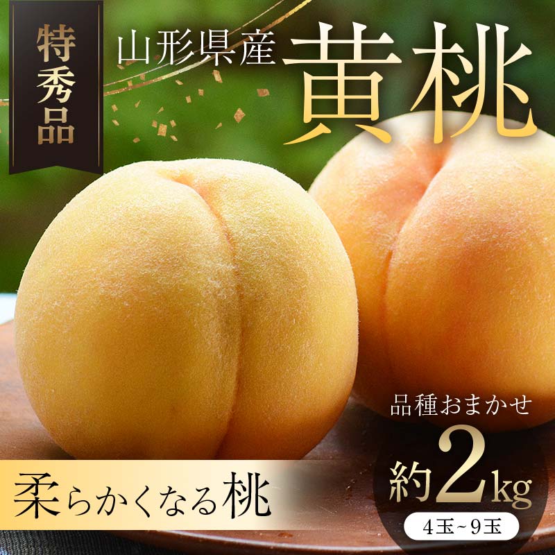 【ふるさと納税】 【令和8年産 先行受付】山形県産黄桃 約2kg 品種おまかせ 特秀品 もも 果物 フルーツ FSY-2463｜山形県