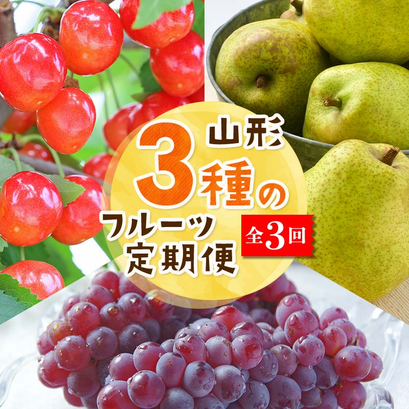 【ふるさと納税】【2026年度 先行予約】3種のフルーツ定期便 全3回 さくらんぼ ぶどう 梨 果物 フルーツ FSY-2061