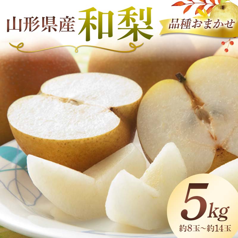 【ふるさと納税】 《2025年 先行予約》 山形県産 和梨（品種おまかせ） 5kg（約8～14玉） なし 果物 フルーツ FSY-2083