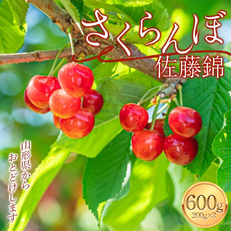 【ふるさと納税】【令和7年度先行予約】 さくらんぼ（佐藤錦）600g（200g×3）FSY-2123