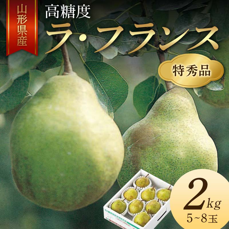 【ふるさと納税】《2025年産 先行予約》山形県産 高糖度 ラ・フランス 2kg 5～8玉 特秀品 FSY-2134