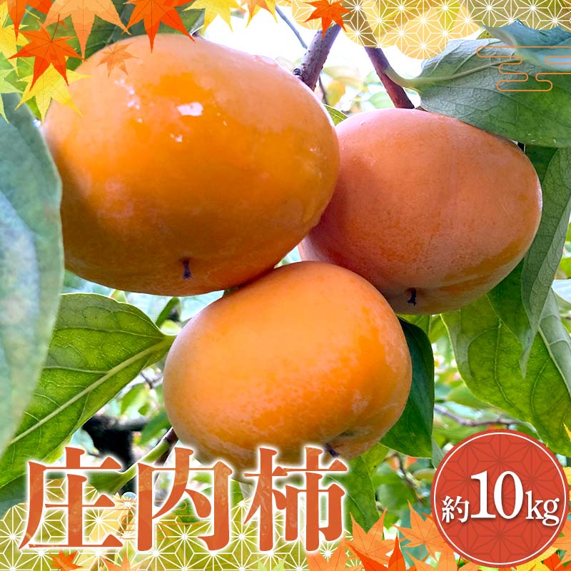 【ふるさと納税】《先行予約 令和7年度産》 厳選 庄内柿 約10kg FSY-2178
