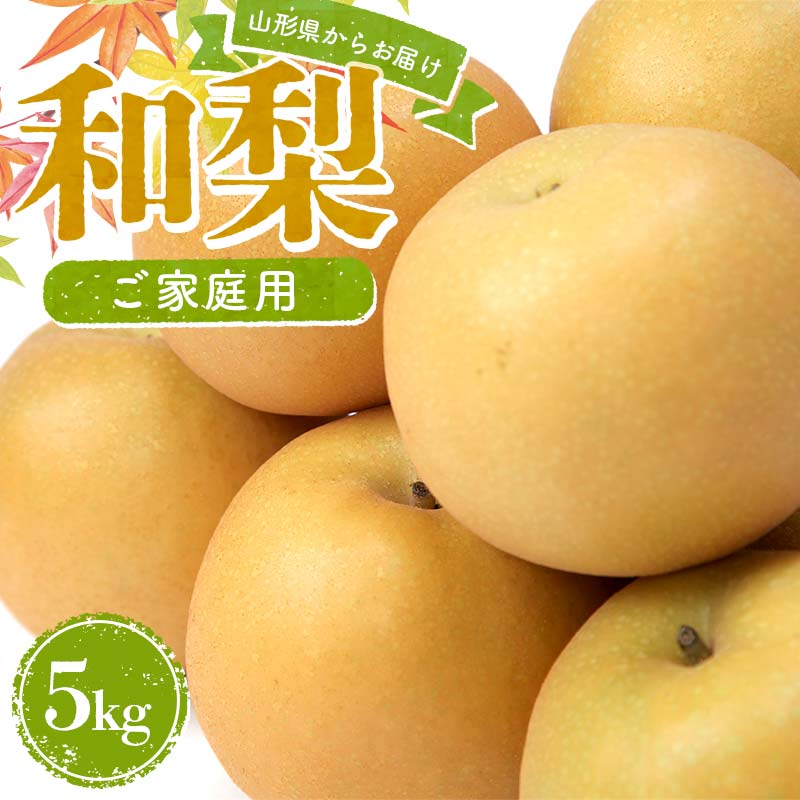 【ふるさと納税】 和なし 5kg 品種おまかせ ご家庭用 FSY-2182