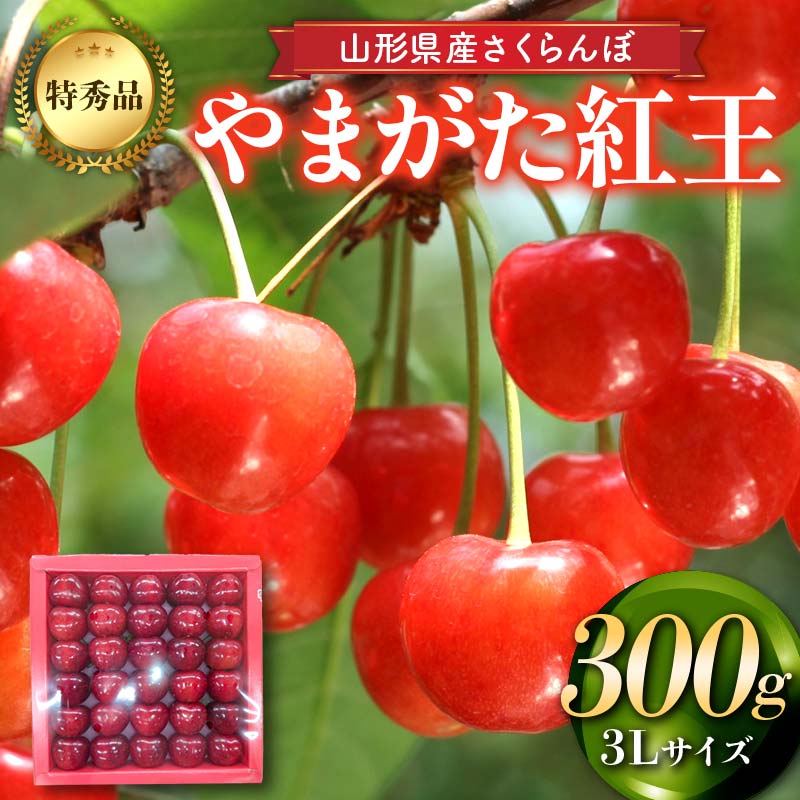 【ふるさと納税】 【先行予約 2025年度発送】山形県産 さくらんぼ（やまがた紅王）特秀品 3Lサイズ300g デザート フルーツ 果物 くだもの 果実 食品 山形県 FSY-2186