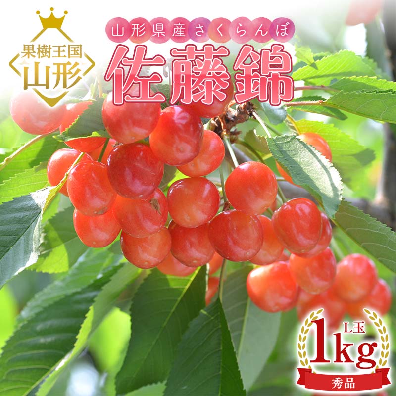 【ふるさと納税】 【2026年産 先行予約】山形県産さくらんぼ 佐藤錦 秀品 L玉 1kg (500g×2パック) 化粧箱入り FSY-2199 19,500円