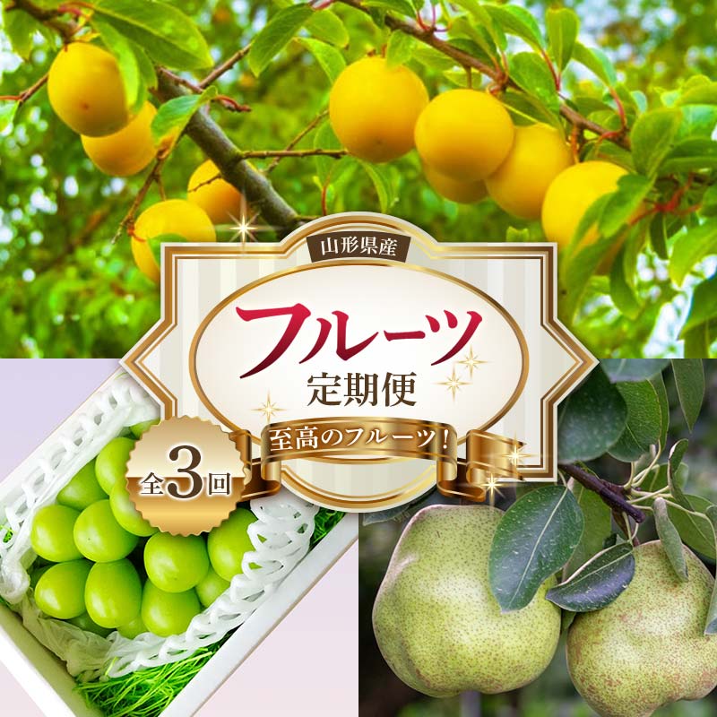 【ふるさと納税】《2026年産先行受付》山形県 至高のフルーツ！ 山形県産 フルーツ定期便 全3回 FSY-2522