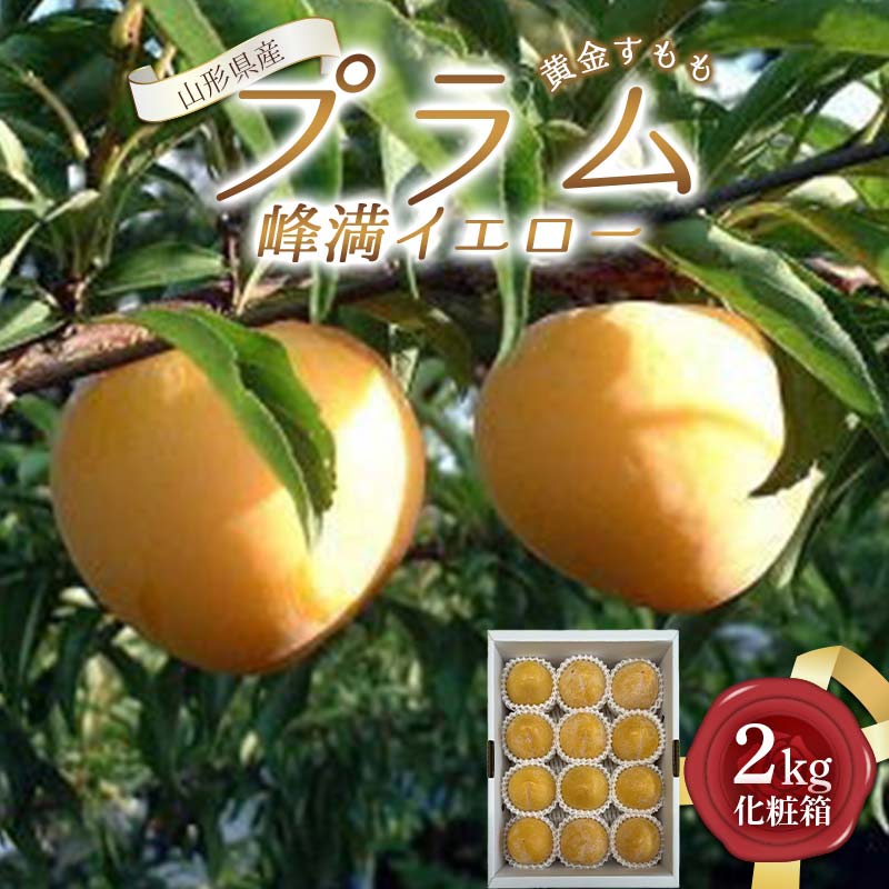 【ふるさと納税】 山形県産 プラム (峰満イエロー) 2kg 化粧箱 秀品 (8～15玉入り) 【先行受付2026年9月発送】 FSY-2596