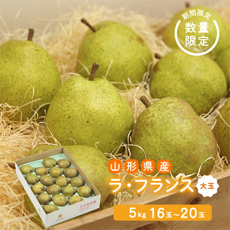 【ふるさと納税】《先行予約 2026年度発送》【王将果樹園】ラ・フランス5kg～生産量日本一のまちより～ なし ナシ 梨 デザート フルーツ 果物 くだもの 果実 食品 山形県 FSY-2686