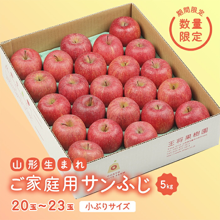 【ふるさと納税】《先行予約 2026年度発送》【王将果樹園】ご家庭用サンふじ 5kg りんご リンゴ 林檎 デザート フルーツ 果物 くだもの 果実 食品 山形県 FSY-2689