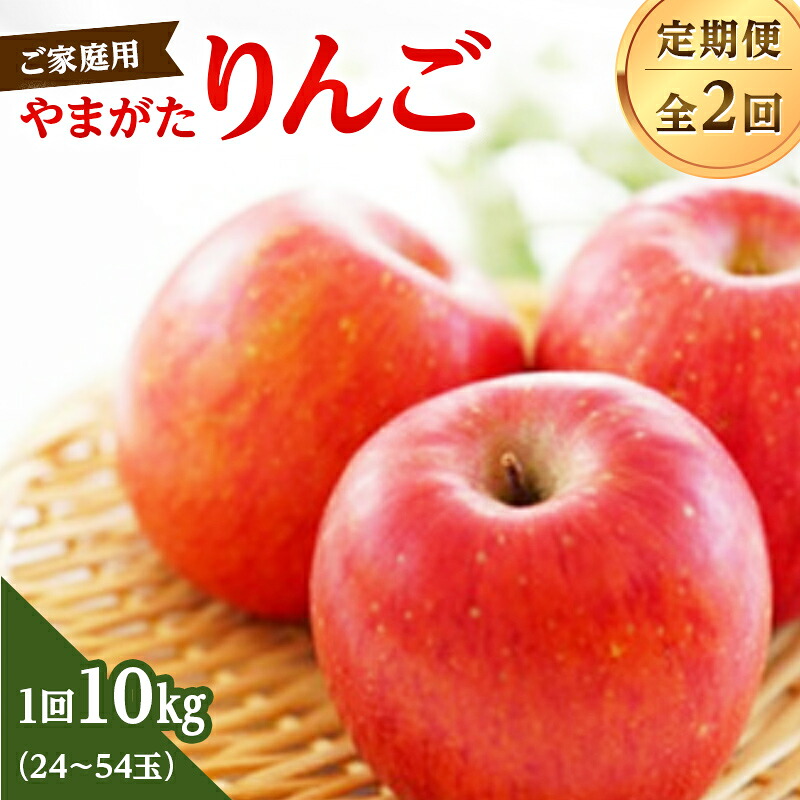 【ふるさと納税】 【ご家庭用】やまがたりんご定期便（全2回） FSY-2809｜山形県