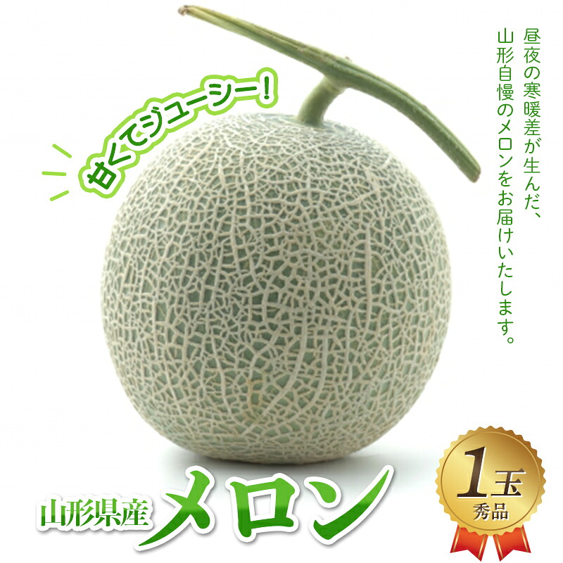 【ふるさと納税】 山形県産メロン 1玉 秀品 FSY-2927|山形県
