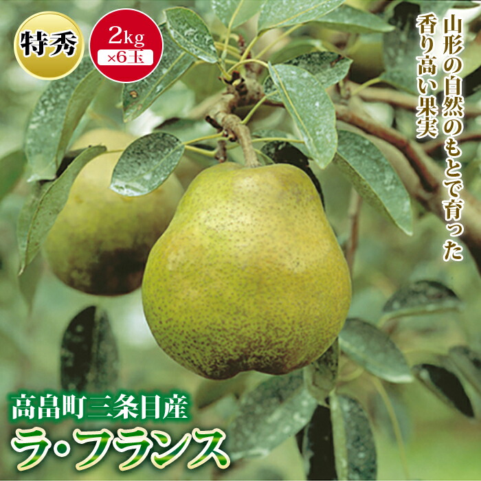 【ふるさと納税】《2025年先行予約》山形県産 ラ・フランス なし ナシ 梨 デザート フルーツ 果物 くだもの 果実 食品 山形県 F2Y-0004