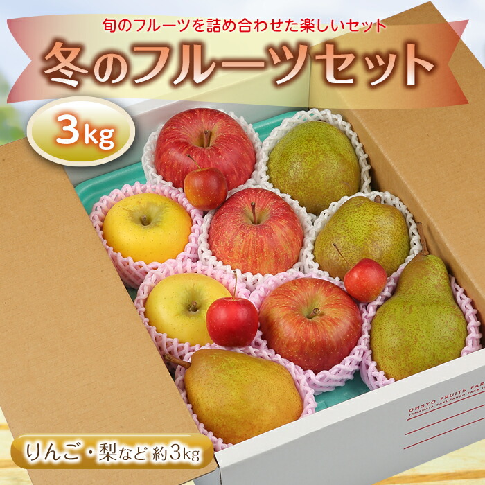 【ふるさと納税】《先行予約 2025年度発送》冬のフルーツセット3kg りんご リンゴ 林檎 デザート フルーツ 果物 くだもの 果実 食品 山形県 FSY-1897