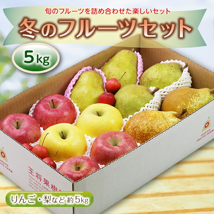 【ふるさと納税】《先行予約 2025年度発送》冬のフルーツセット5kg りんご リンゴ 林檎 デザート フルーツ 果物 くだもの 果実 食品 山形県 FSY-1898
