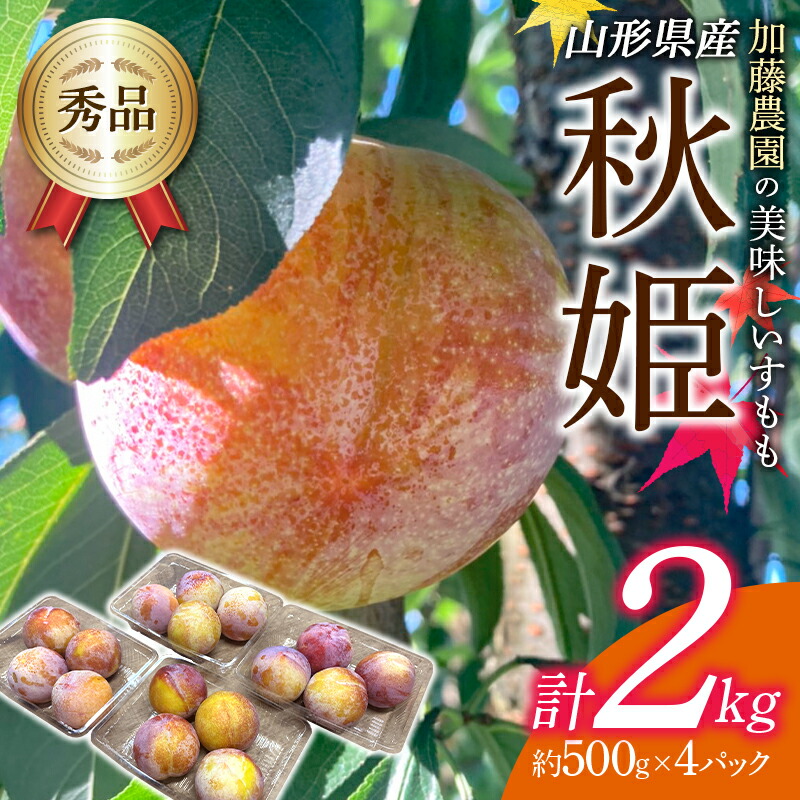 【ふるさと納税】《先行予約 2025年度発送》《緊急応援企画》加藤農園の美味しいすもも「秋姫」約500g×4パック もも モモ 桃 デザート フルーツ 果物 くだもの 果実 食品 山形県 FSY-1832