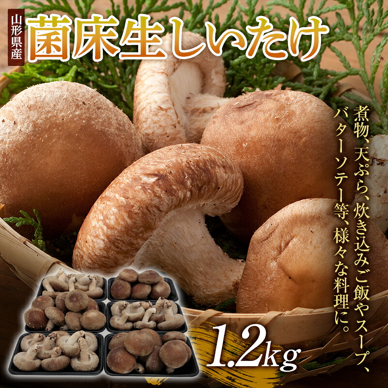 【ふるさと納税】肉厚！ 菌床生しいたけ 1.2kg F2Y-3327｜山形県