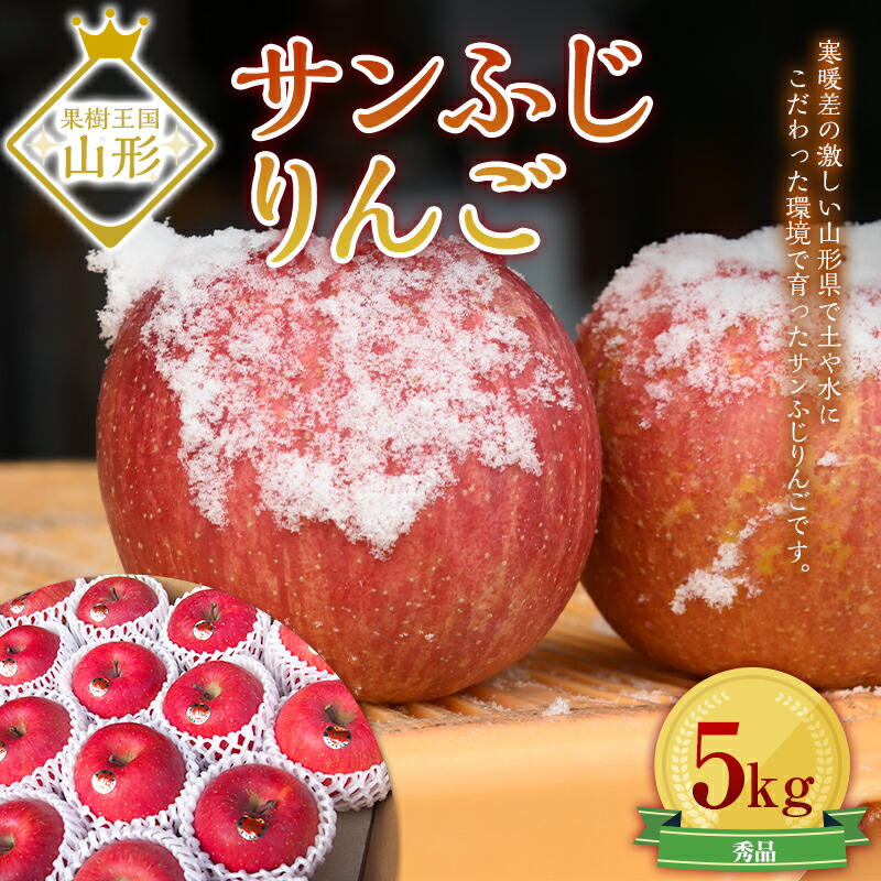 【ふるさと納税】 サンふじりんご 5kg (約16～20玉) ギフト箱入り 山形県産 《2025年11月中旬から発送開始》 りんご リンゴ 林檎 デザート フルーツ 果物 くだもの 果実 食品 山形県 FSY-0196