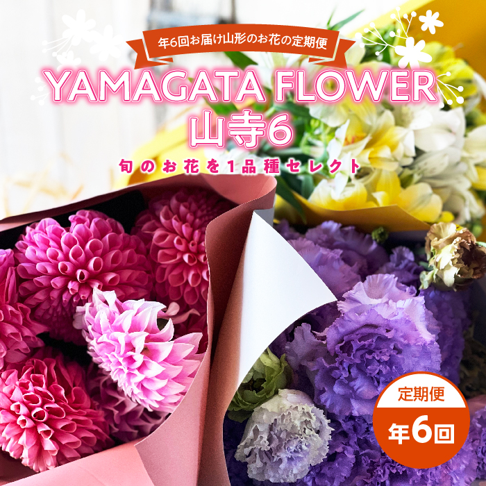 年6回お届け山形のお花の定期便 YAMAGATA FLOWER 山寺6 F2Y-