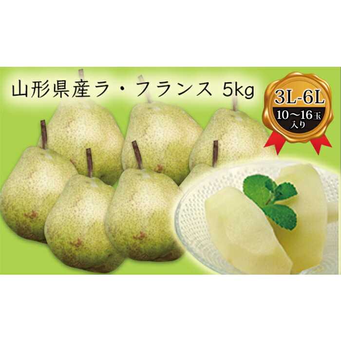 【ふるさと納税】《先行予約 2025年度発送》山形県産ラ・フランス5kg（10～16玉 3L～6L） なし ナシ 梨 デザート フルーツ 果物 くだもの 果実 食品 山形県 FSY-0382