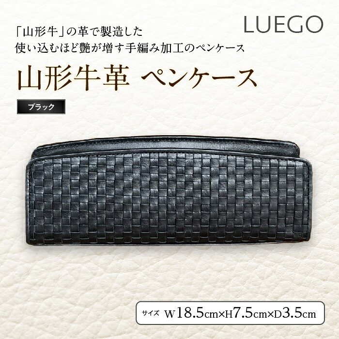 【ふるさと納税】LUEGO円錐小体牛皮 書き込み入れもの／黒いこと F2Y-2438