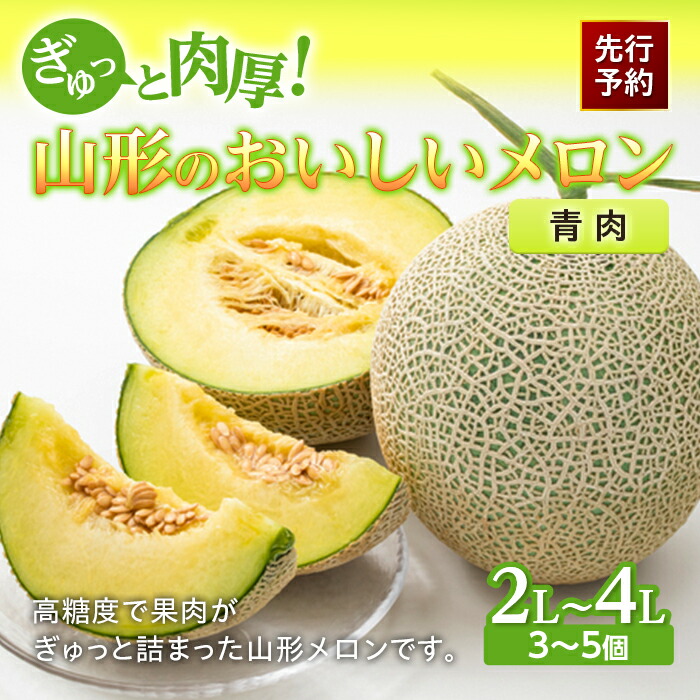 【ふるさと納税】《先行予約 2025年度発送》ぎゅっと肉厚！山形のおいしいメロン【青肉】 青肉メロン メロン 青肉 デザート フルーツ 果物 くだもの 果実 食品 山形県 FSY-0118