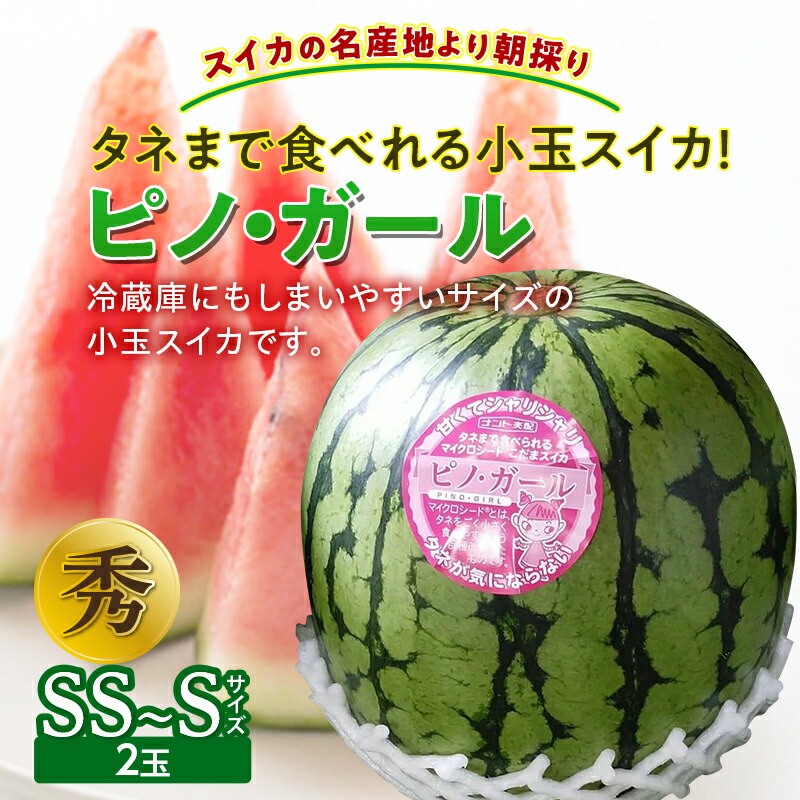 【ふるさと納税】《先行予約 2025年度発送》タネまで食べれる小玉スイカ！【スイカの名産地より朝採り】ピノ・ガール スイカ すいか 西瓜 デザート フルーツ 果物 くだもの 果実 食品 山形県 FSY-0119