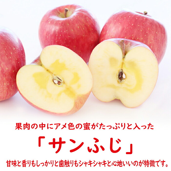 特別オファー 山形県産りんご サンふじ F2y 2921 Fucoa Cl