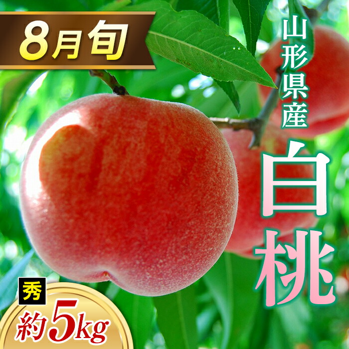 【ふるさと納税】 ≪2025年 先行予約≫ 8月旬の白桃 約5kg 秀（20～22玉） もも モモ 桃 デザート フルーツ 果物 くだもの 果実 食品 山形県 FSY-1328