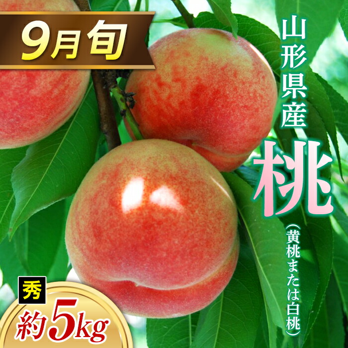 【ふるさと納税】≪2025年 先行予約≫ 9月旬の桃（白桃または黄桃）約5kg 秀（小玉 20～22玉）  もも モモ 桃 デザート フルーツ 果物 くだもの 果実 食品 山形県 FSY-1329