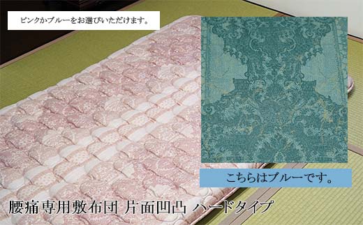 一般受け受け付け中♪円錐小体初夏の味「さくらんぼ」