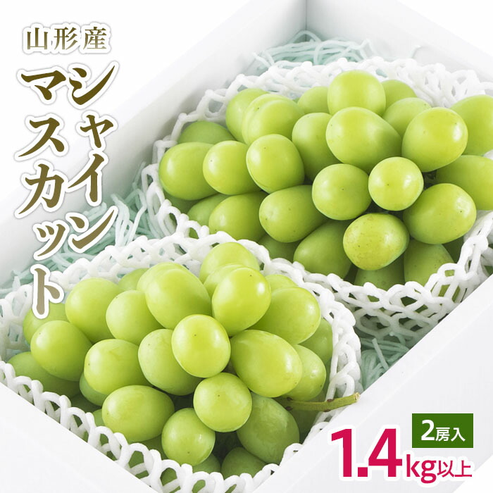 【ふるさと納税】山形市産 シャインマスカット 秀 2房 1.4kg以上 【令和7年産先行予約】FU18-232 くだもの 果物 フルーツ 山形 山形県 山形市 2025年産