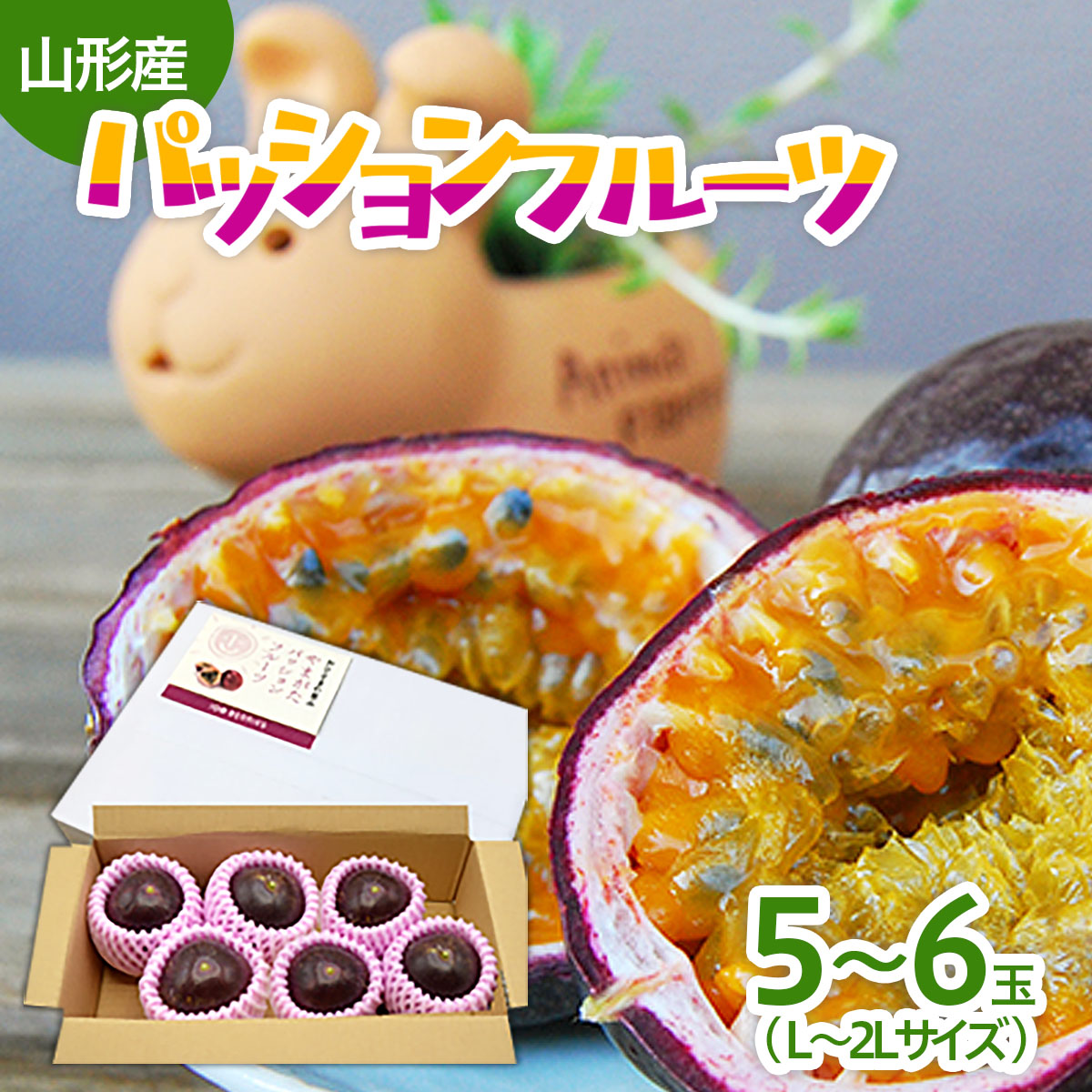 【ふるさと納税】山形市産 パッションフルーツ 5～6玉(L～2Lサイズ) 【令和7年産先行予約】FU21-667 フルーツ くだもの 果物 お取り寄せ 先行予約