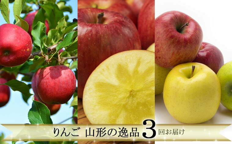 FY21-230 りんご 山形の逸品