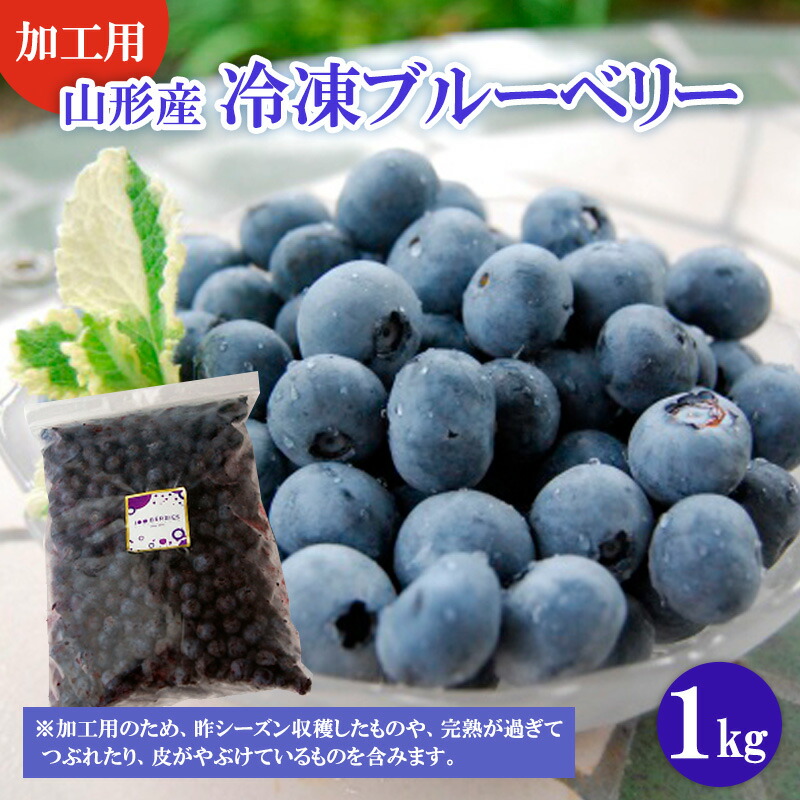 【ふるさと納税】【加工用】冷凍山形市産ブルーベリー 1kg  FZ20-676
