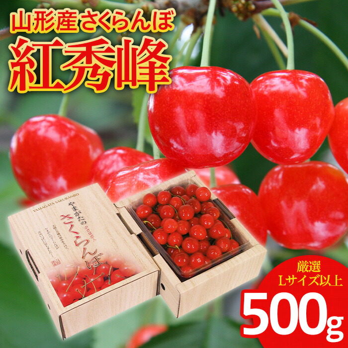 【ふるさと納税】さくらんぼ 紅秀峰 厳選 L以上 500g入り1箱 【令和8年産先行予約】FS25-559 くだもの 果物 フルーツ 山形 山形県 山形市 お取り寄せ 2026年産